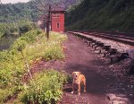 PRR SPRUCE Tower, 1965